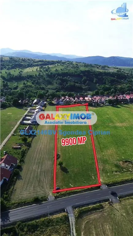 Teren De Vanzare 9900 Mp 3 km Bran 25 km Brasov - foto 1