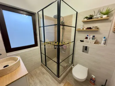 Vila individuala Comuna Berceni teren  400 mp - foto 18