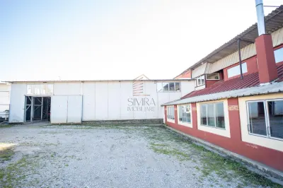 Hala industriala Calea Aradului - foto 3