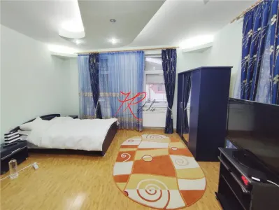 Inchiriere vila zona Stefan cel mare - Tunari - foto 4