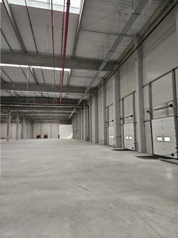 Spatiu Industrial - 5500 mp - Logistica - Depozitare - Distributie - foto 1