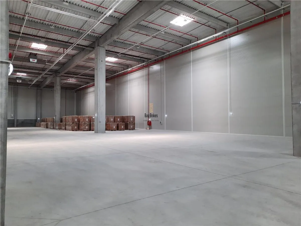 Spatiu Industrial - 5500 mp - Logistica - Depozitare - Distributie - foto 11