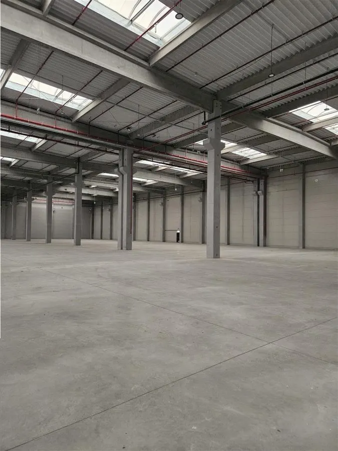 Spatiu Industrial - 5500 mp - Logistica - Depozitare - Distributie - foto 4
