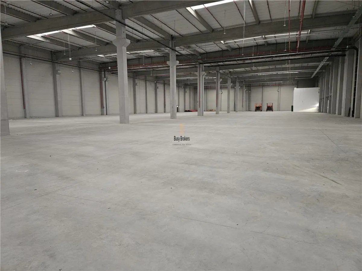 Spatiu Industrial - 5500 mp - Logistica - Depozitare - Distributie - foto 6