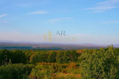 Vanzare casa vacanta, 9500 mp teren intravilan, in Valea Calugareasca, zona Casa Timis - foto 14