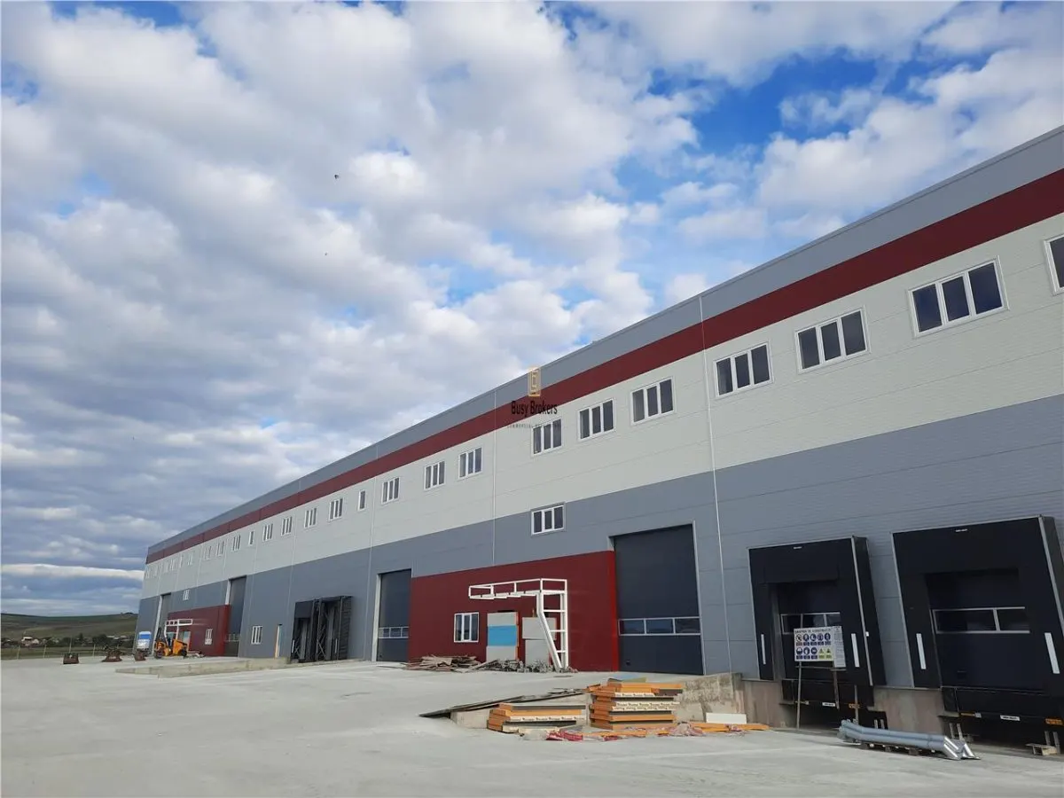 Spatiu Industrial - 9050 mp - Logistica - Productie - Depozitare - Distributie - foto 5