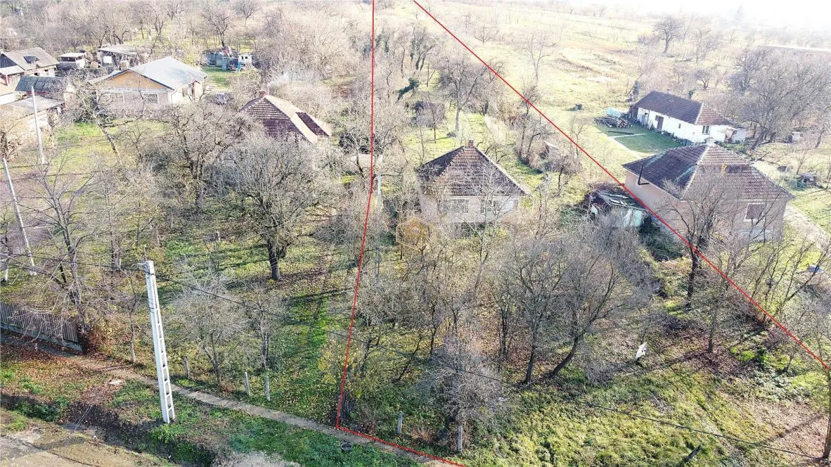 Casa cu 2 camere si teren de 4.000 mp | Viile Satu Mare - foto 3
