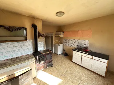 Casa cu 2 camere si teren de 4.000 mp | Viile Satu Mare - foto 7