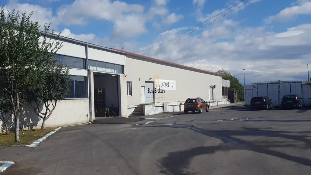 Spatiu Industrial - 550 mp - Depozitare - Distributie - foto 8