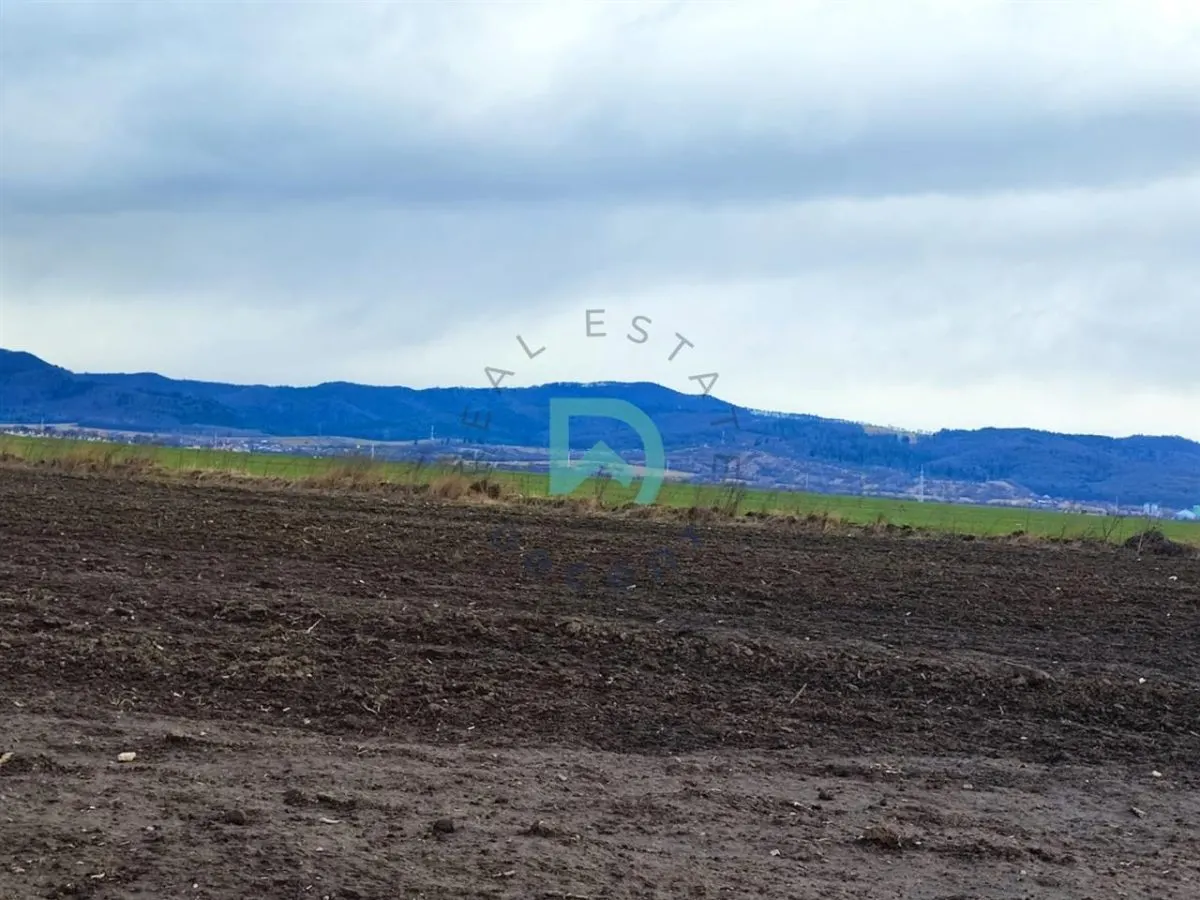 Teren Agricol, Cristian - foto 14