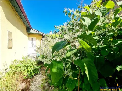 Spatiu pretabil activitati:birouri/ateliere copii/etc. acces stradal,curte proprie, Racadau - Brasov
