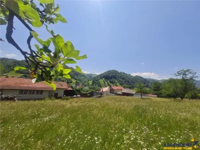 Deschidere spre crestele alpine+ documentatie turistica,4.400 mp de inspiratie naturala - foto 16