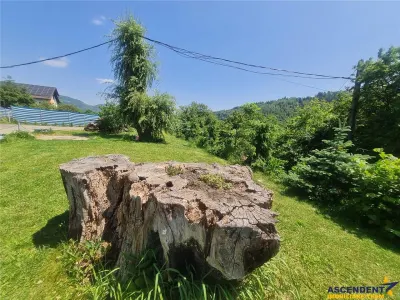 Deschidere spre crestele alpine+ documentatie turistica,4.400 mp de inspiratie naturala - foto 24