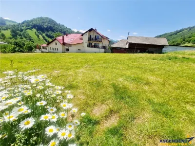 Deschidere spre crestele alpine+ documentatie turistica,4.400 mp de inspiratie naturala - foto 4