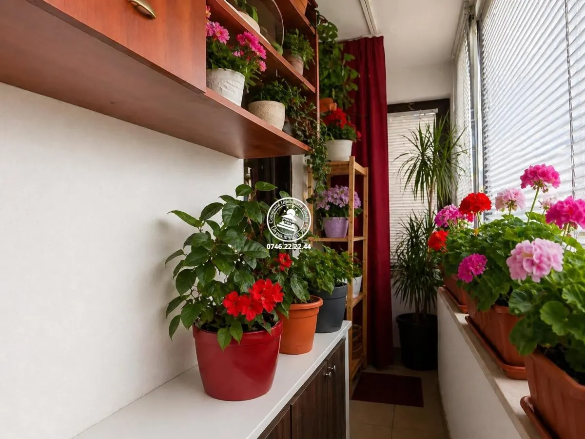 Apartament 2 camere decomandat Valea Lupului - foto 1