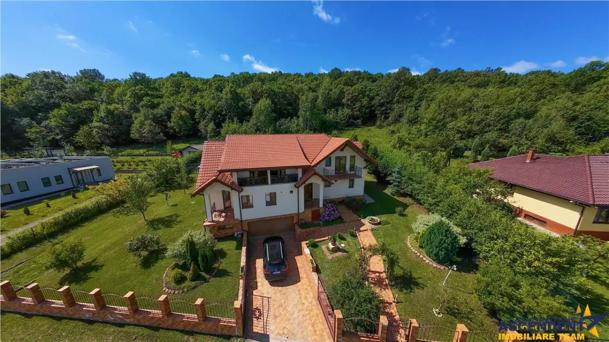 Refined ensemble, elite natural setting, 5 km from Corvin Castle. - foto 1