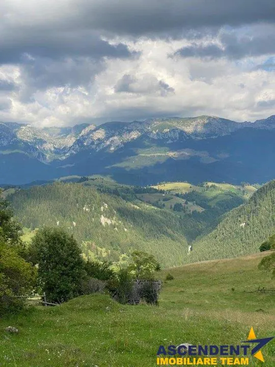 8.000 mp teren, Bran, Fundata, Brasov - foto 12