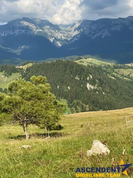 8.000 mp teren, Bran, Fundata, Brasov - foto 13