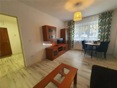 Apartament cu 2 camere de inchiriat - foto 3