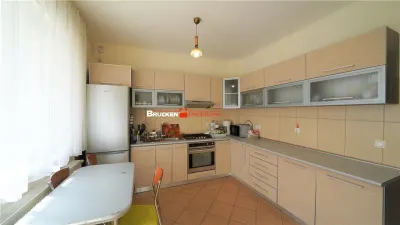 DUPLEX IN CARTIERUL ONCEA CU PARCARE SI CURTE - foto 4