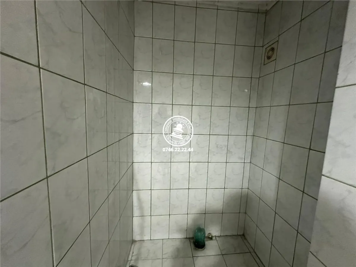Spatiu comercial de inchiriat Alexandru cel Bun - foto 6