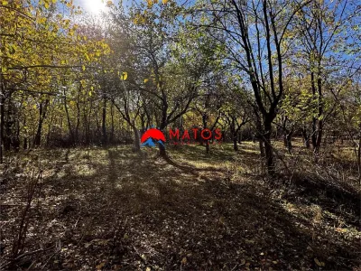 Teren intravilan 6.842 mp de vanzare in Poiana Campina, vedere placuta - Poiana Campina