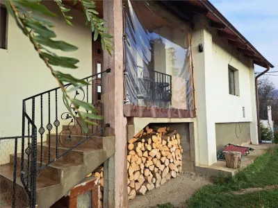 Casa Individuala Baia Sprie - foto 12