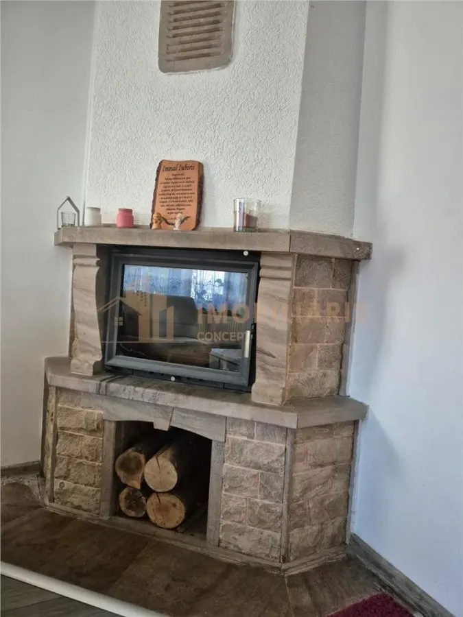 Casa Individuala Baia Sprie - foto 5