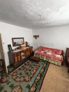 Casa tip parter zona Tisau - foto 7