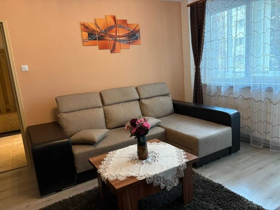 Apartament 2 camere, etajul 1 zona Garii - foto 1