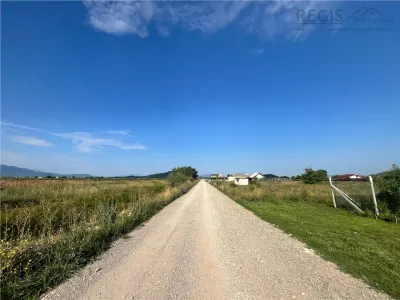 TEREN INTRAVILAN, HARMAN - foto 2