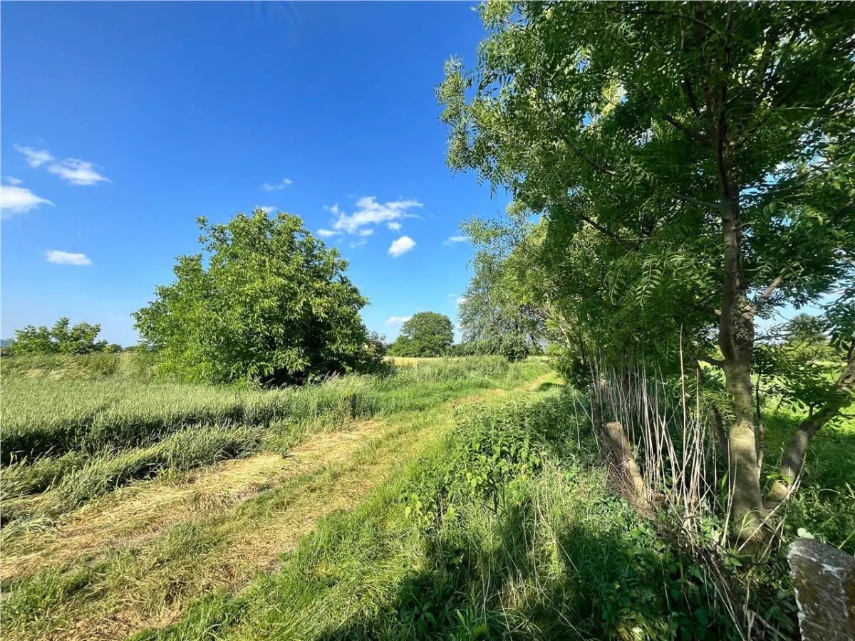 TEREN INTRAVILAN, 1200 mp, HARMAN, COMISION 0% - foto 4