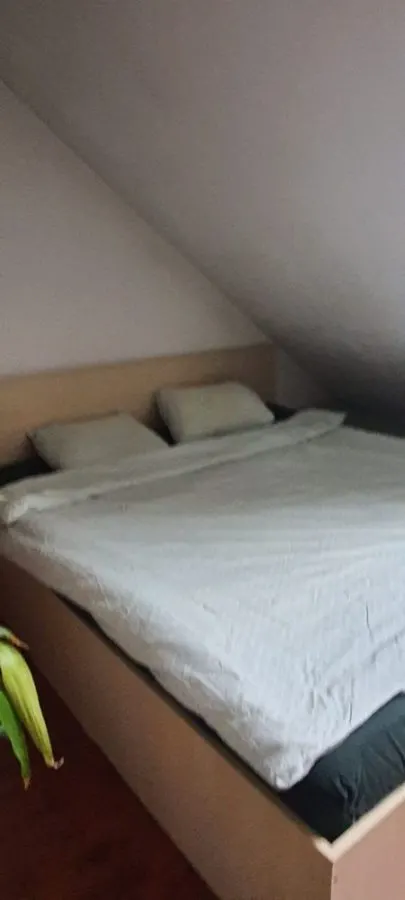 Apartament 2 camere zona Garii- Faget - foto 4