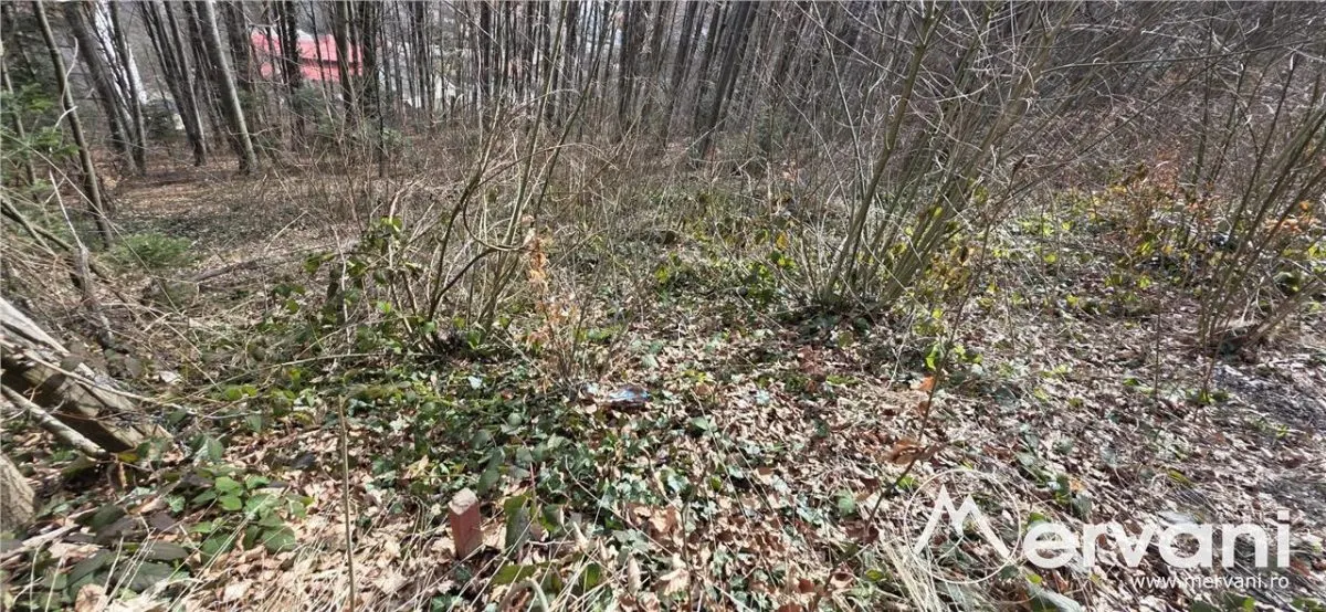 Tere intravilan de vanzare in Sinaia - foto 2
