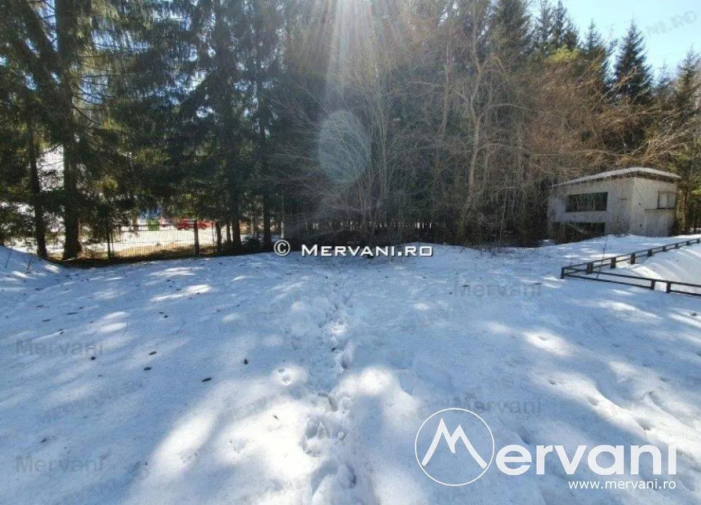 Teren de vanzare in Azuga (zona Partia de Ski) - foto 1