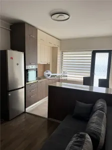 Apartament 2 Camere Copou - 480 euro - foto 9