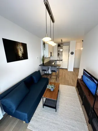 Apartament 2 camere Silk District - 499 euro - foto 3