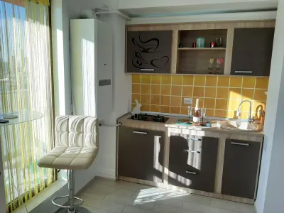 Apartament 2 camere River Towers-Tudor Vladimirescu - foto 4