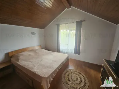 Casa de vacanta in Delta Neajlovului - foto 11
