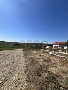 RECO Casa 3 camere lux in Paleu - foto 2