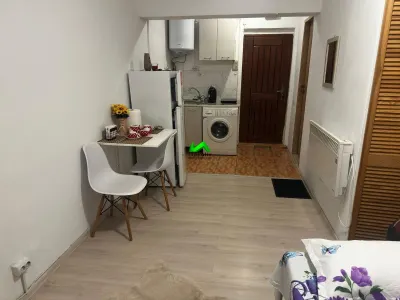 Garsoniera de inchiriat Sibiu Central - foto 4