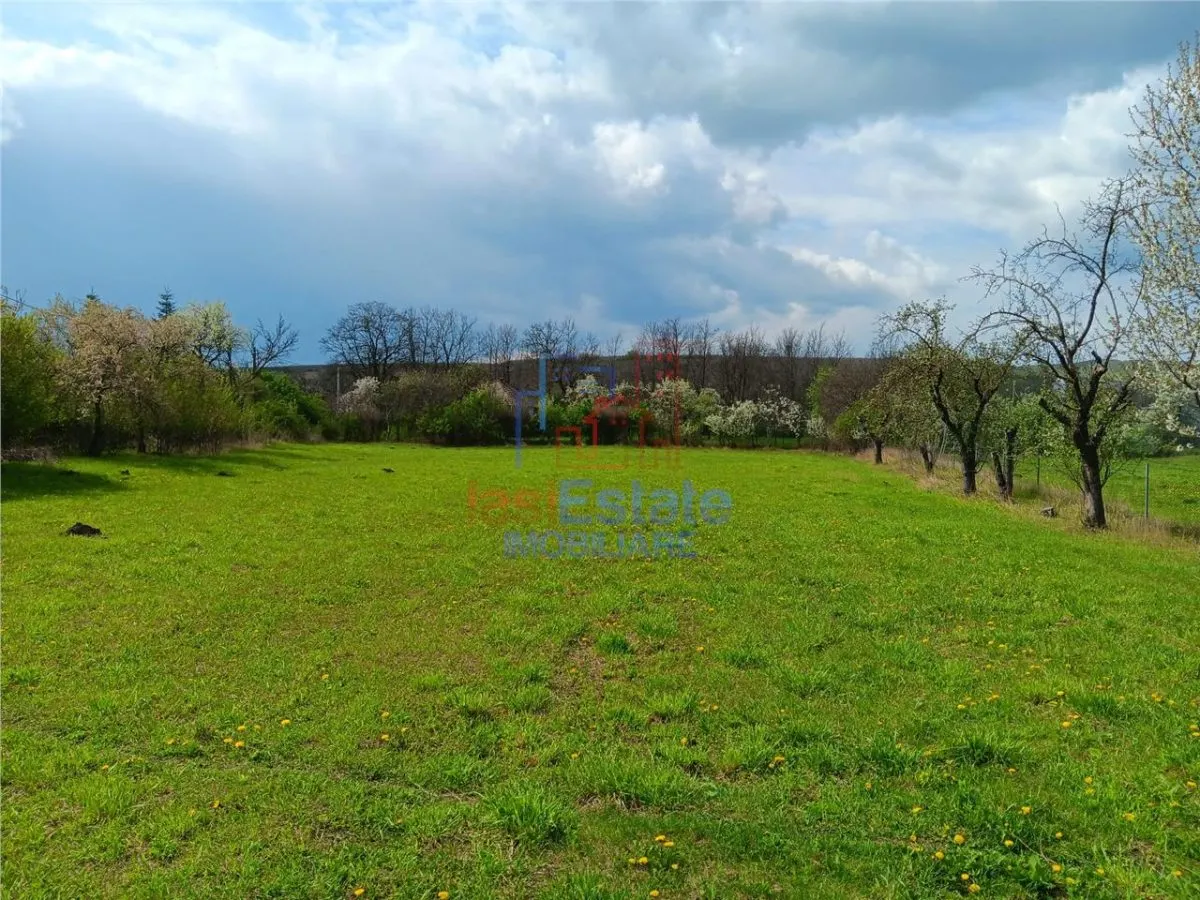 Badeni com Scobinti  Iasi Teren 4239mp  parcelabil si constructii 245mp - foto 5