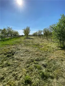 RECO Casa de renovat in Biharia - foto 17
