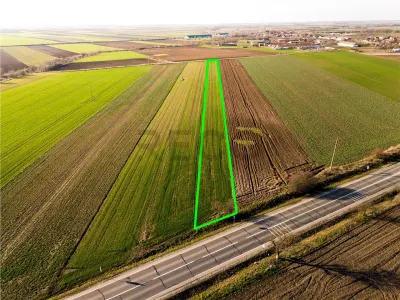 RECO teren 5000mp cu deschidere la DN19 Tamaseu - foto 2