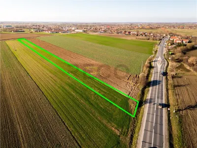 RECO teren 5000mp cu deschidere la DN19 Tamaseu - foto 3