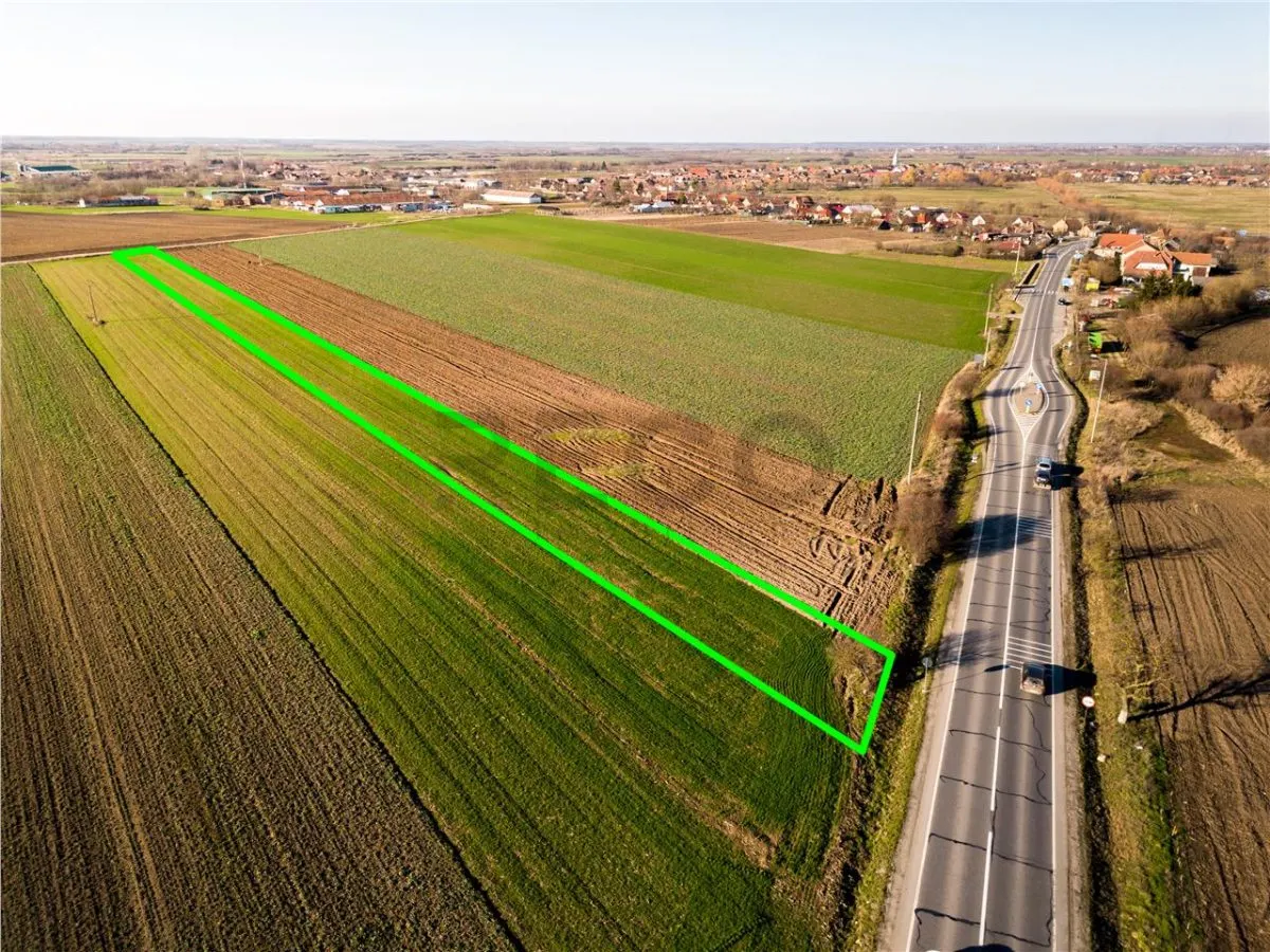 RECO teren 5000mp cu deschidere la DN19 Tamaseu - foto 3