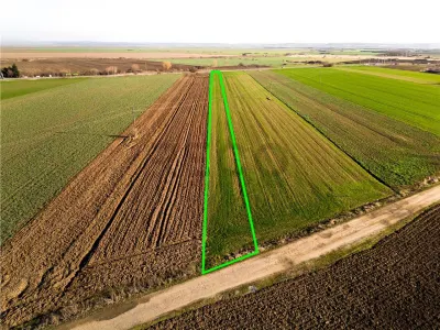 RECO teren 5000mp cu deschidere la DN19 Tamaseu - foto 4