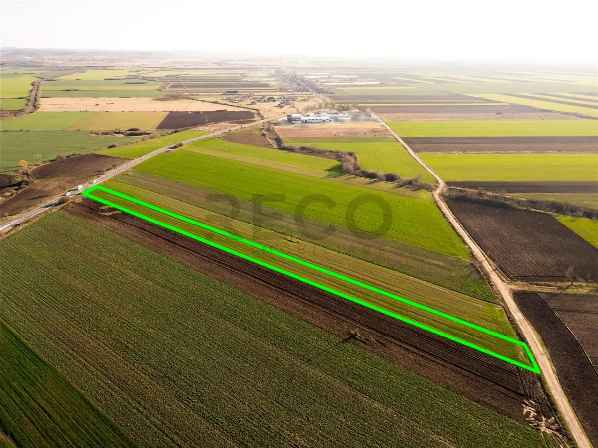 RECO teren 5000mp cu deschidere la DN19 Tamaseu - foto 5