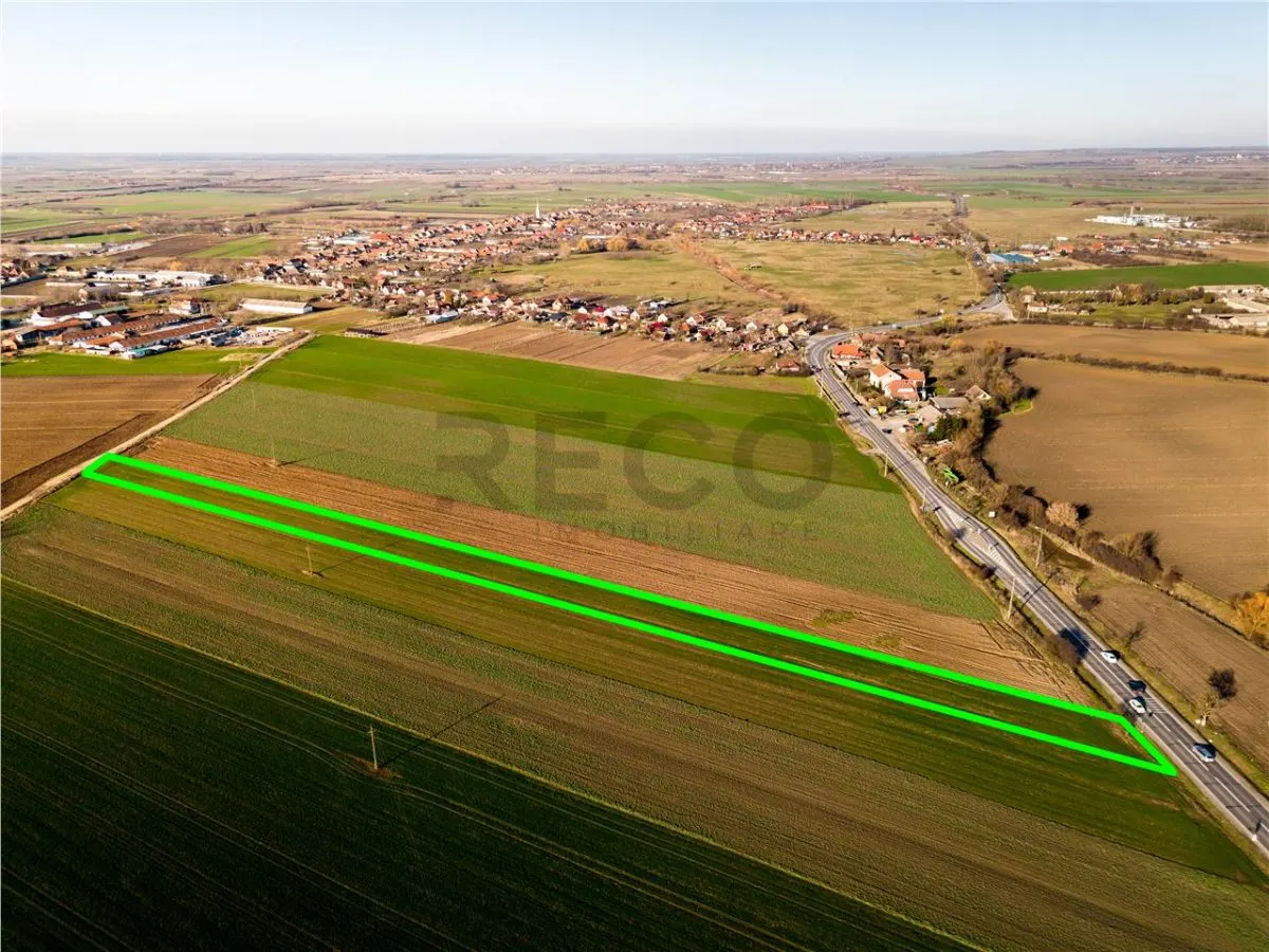 RECO teren 5000mp cu deschidere la DN19 Tamaseu - foto 6