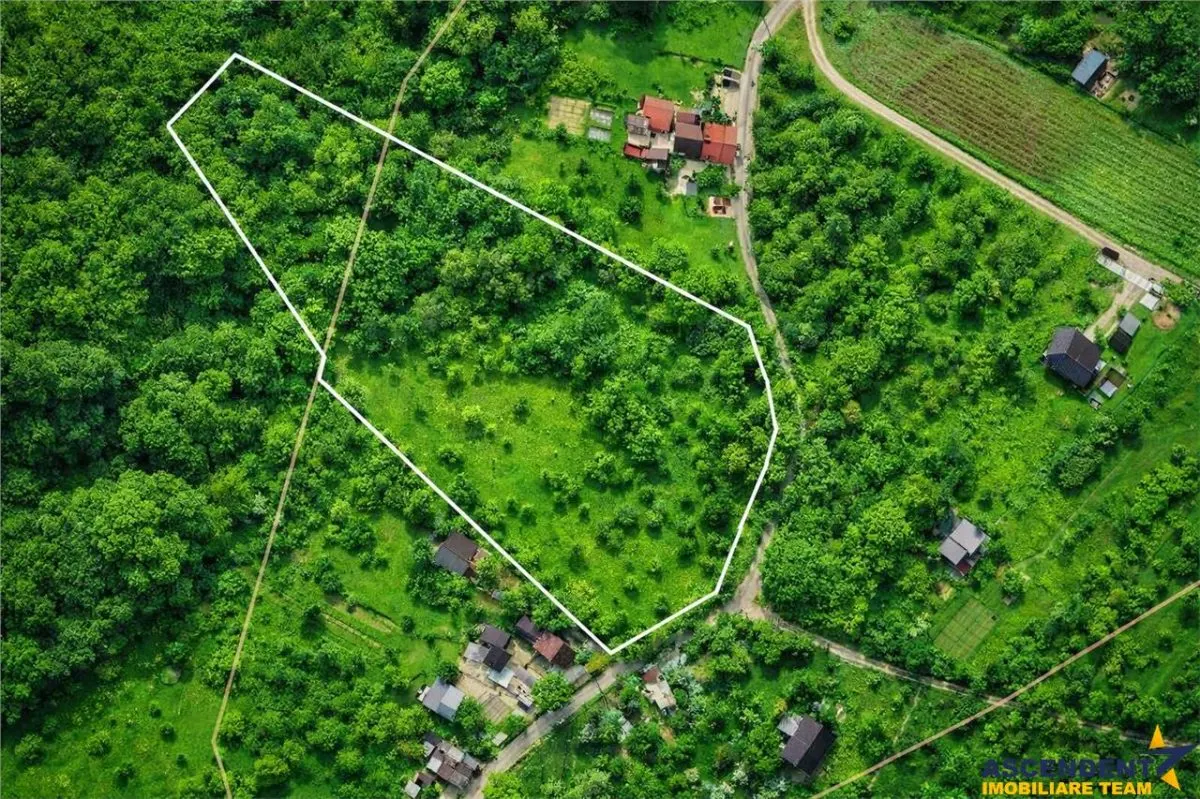 11.600mp teren, partial extravilan,Valea Mare Pravat, 2 km de Campulung Muscel - foto 3